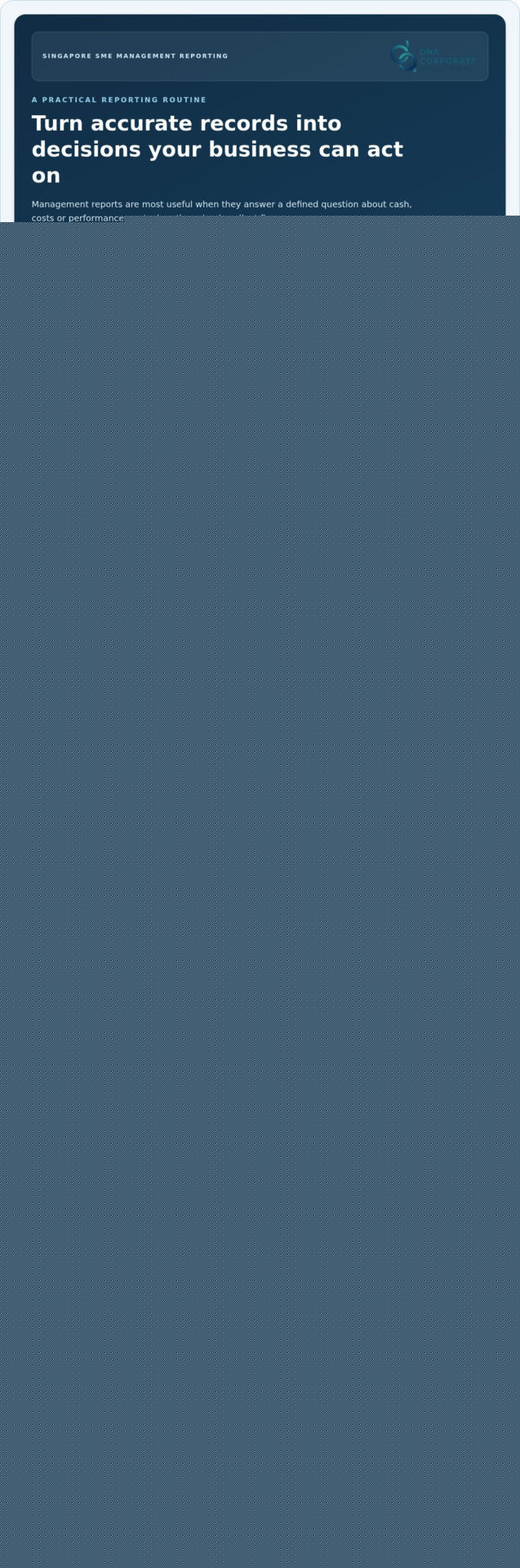 Management Accounting and Reporting in Singapore: A Practical SME Guide
